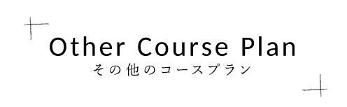 other course plan